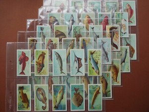 PLAYERS CARDS ORIGINAL 1903 Fishes Of The World Full Set 50 Cards
