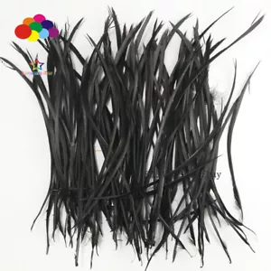 Piume d'oca 20-25 cm 8-10 pollici accuratamente realizzate tinte lisce biots nere Juju - Foto 1 di 6