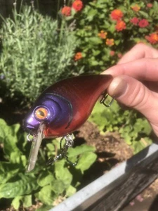 Ganchos tramperos Squarebill Magnum HELL-GILL pintados a medida Crankbait 4” - Imagen 1 de 12