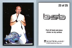 Backstreet Boys Black & Blue #23/25 Millennium 2000 Winterland Sticker