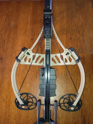 Besta Bear Fisix FFL - Imagem 1 de 4