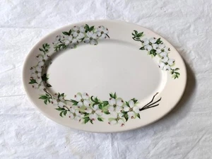 1948 Syracuse China 9.25" Oval Platter or Underplate, DOGWOOD, No Trim - Picture 1 of 8