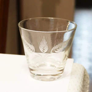 Two Elegant Etched Fern Crystal Old Fashioned Whiskey Glasses - Picture 1 of 1