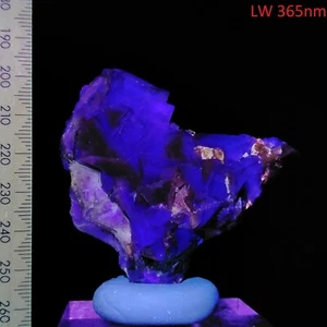 Fluorite UV reactive crystal cluster natural long wave mineral specimen 347ct - Picture 1 of 8