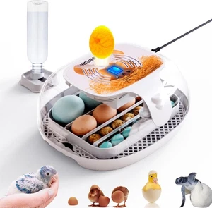 KAMHX 360° Egg Incubator with Humidity Display, Automatic Egg Turner & Candler - Picture 1 of 7