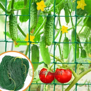 Garden Plant Climbing Net Trellis Netting Mesh Support Fruit Vine 6FT-50FT-100FT - Picture 1 of 30