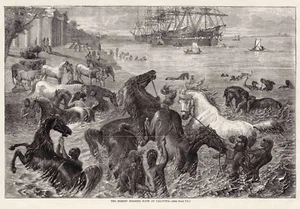 Caballos bañándose en el río Hooghly Ganges Calcuta Calcuta Chandpal Ghat 1868 - Imagen 1 de 1