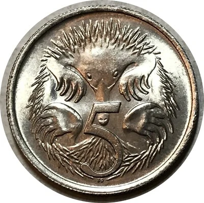 Australia 1966 • 5 cents • KM# 64 • echydna UNC high+ grade • (DS-9308) QE2 - Image 1 of 2