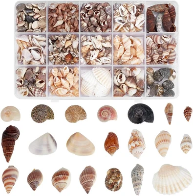 PH Pandahall Sea Shells, 466Pcs 15 Style Spiral Shell Beads Undrilled Tiny Natur - Image 1 of 4