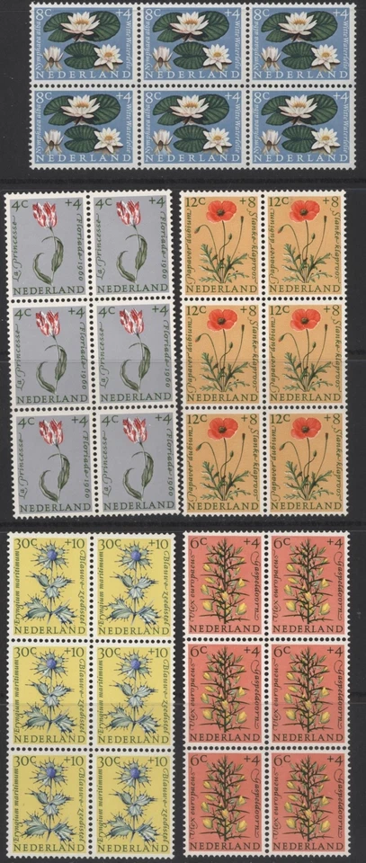 Netherlands 1960 Cultural & Social Relief - Flowers set, 5 blocks of 6, mint MNH - Image 1 of 1