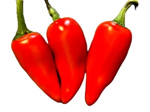 Hawaiian Sweet Hot Chili Pepper Seeds aka WAIALUA Hawaii Jalapeno 30+ Seed - Picture 1 of 5