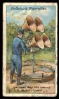 Tobacco Card, Gallaher, THE GREAT WAR SERIES, 1915, Listening Post, #159