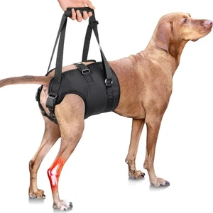 XL Extra Large Dog Lift Harness Adjustable Support for Hind Legs Disabled Senior - Bild 1 von 4