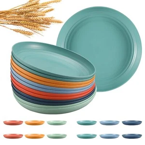 12 Pcs Unbreakable Deep Dinner Plates Set 10 inch Wheat Straw Reusable Plastic - Picture 1 of 7