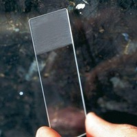 Mediware Objektträger Geschliffen mit Rand 76 x 26 mm 50 St. Stück Objekträger