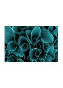 Poster Foglie Stampa Arredo Camera Parete Stampa Poster Fiori Natura Arte Declea - Picture 1 of 17