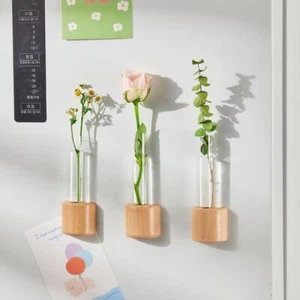 Kühlschrank-Magnet Reagenzglas klare Vase Blumentopf Pflanzen - Bild 1 von 9