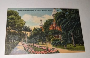 Florida FL postcard linen University of Tampa Vintage PC Post Card Palm Trees - Picture 1 of 2