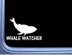 Whale Watcher L818 8 Zoll Aufkleber Meereslebewesen Buckel Moby Decal - Bild 1 von 1