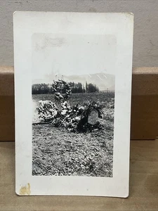 1910 RPPC Real Post Card Mark Peter Jensen Grave Site Tombstone Ogden UT B52 - Bild 1 von 4