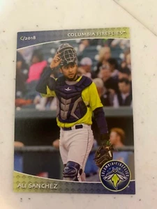Ali Sanchez Card  2018 Columbia Fireflies Team Card - Picture 1 of 1