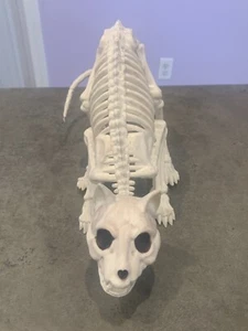 Crazy Bonez Seasons Katze Skelett Halloween Requisite gruselig gruselig - Bild 1 von 5