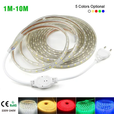 STRISCIA STRIP LED BOBINA SMD 1 A 10 M 5050 SPINA 220V BIANCA TUBO ESTERNO - Immagine 1 di 4