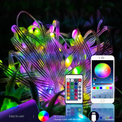 bluetooth APP USB 5/10/20m RGBIC Pixel WS2812B LED String Light Addressable 5V - Image 1 of 4