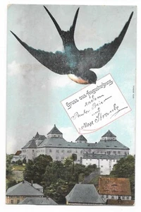 AK Gruß aus Augustusburg - 1919 - Schwalbe Ansichtskarte Postkarte - Bild 1 von 2