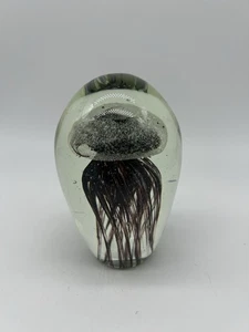 Jellyfish Inclusion 5” Paperweight Art Glass Egg-shaped Brown Nautical Decor - Bild 1 von 8