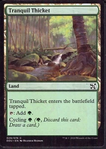 Tranquil Thicket - Duel Decks - MTG Magic - LP - Picture 1 of 2