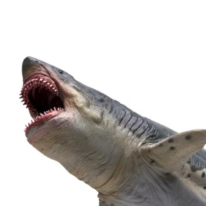 Modellino PNSO Megalodon personaggio preistorico oceano base animale giocattolo decorazione da collezione - Foto 1 di 8