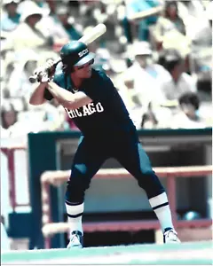 Bucky Dent-Chicago White Sox-8x10 Baseball Photo - Picture 1 of 1