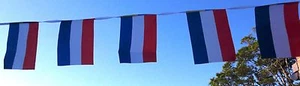 Holland Netherlands Fabric Bunting 5.5m 20 Flags Free Post - Picture 1 of 4