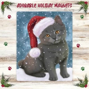 Chartreux Kätzchen großer Magnet für Kühlschrank und Geschirrspüler Weihnachten Neu mit Etikett - Bild 1 von 5