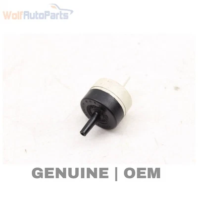 Válvula de retención Porsche Cayenne 2003-2006 96411095002 Foto 1 de 4