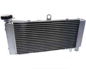 Radiador de agua, se adapta a Honda CB 600 F Hornet, CB 600 S F2 Hornet año 1998-2006 - Imagen 1 de 2