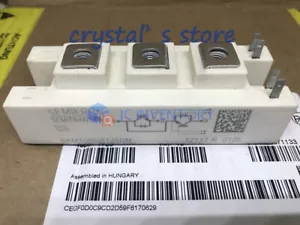 1 PIEZA SEMIKRON SKM100GB125DN Módulo Suministro Nuevo Mejor Servicio Garantía de Calidad - Imagen 1 de 6