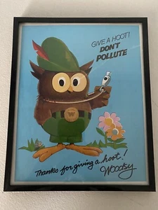 Vintage Woodsy Owl "Give a Hoot Don't Pollute" Framed Advertising Collectible - Picture 1 of 2