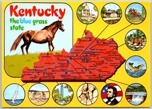 Postcard Kentucky Blue Grass State Horse Map Illustration - Imagen 1 de 3