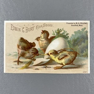 Victorian Trade Card 1881 Calendar Edwin Burt Fine Shoes Chicks Egg Greenfield - Picture 1 of 2