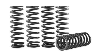 Hinson Clutch Spring Kit For Suzuki RM-Z250 2019 High Temp CS357-5-0109 - Изображение 1 из 3