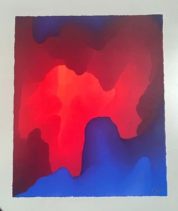 Sam Friedman "Light" 2021 - Signed Limited Edition / 500 - Picture 1 of 5