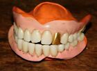 Antique Dentures With Gold Tooth