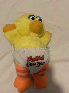 Vintage-Hasbro-anni '80-Big Bird Luvs You Baby Pantaloni Pannolino Peluche - Foto 1 di 5