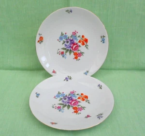 2 Vintage Epiag Royal Porzellan Kuchenteller - Blumen - 22 cm (8,65 Zoll) Durchmesser - Bild 1 von 3