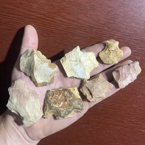 MLC 980 (7) Lame per coltelli punte di freccia Arcaic To Adena Deep South FL GA manufatti - Foto 1 di 6