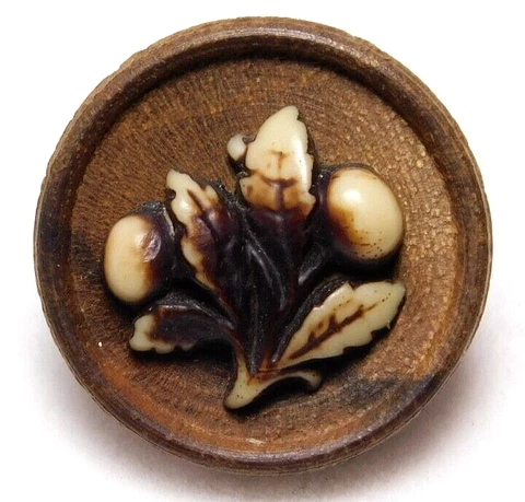Small Antique Vtg BUTTON Buffed Celluloid Horse Chestnut on Wood NICE Cover