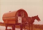 Vintage Found Photo   1975   A Woman Drives Neat Horse Caravan In Rural Ireland