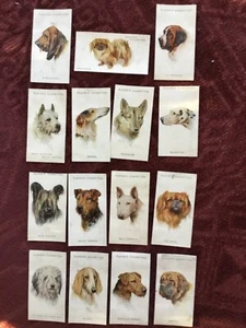 John Players Dogs by Wardle issued 1929 15 cards - Picture 1 of 9
